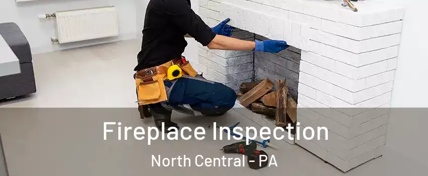 Fireplace Inspection North Central - PA