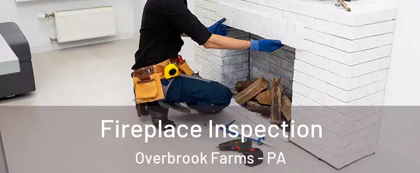 Fireplace Inspection Overbrook Farms - PA