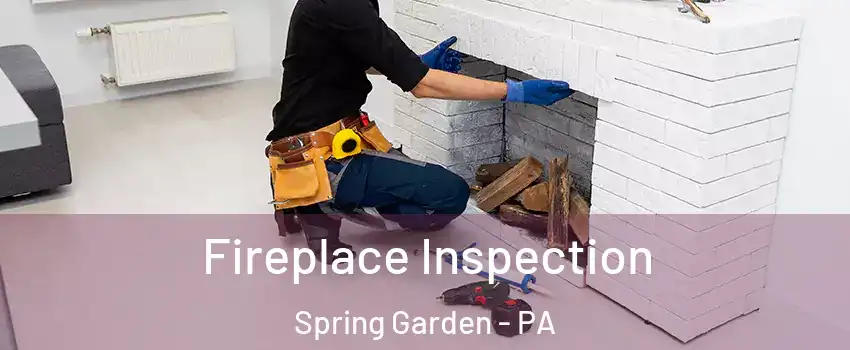 Fireplace Inspection Spring Garden - PA