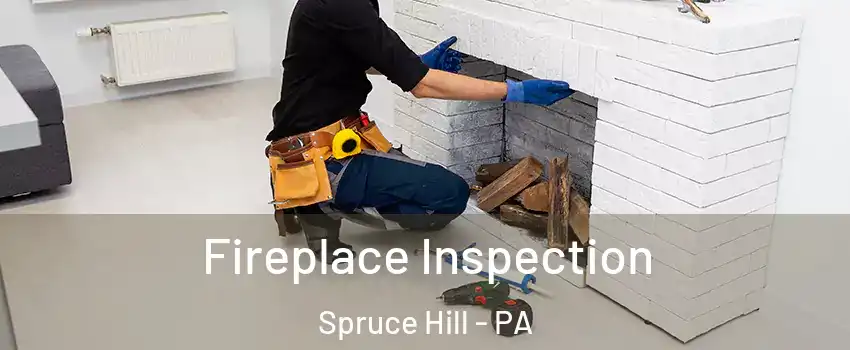Fireplace Inspection Spruce Hill - PA