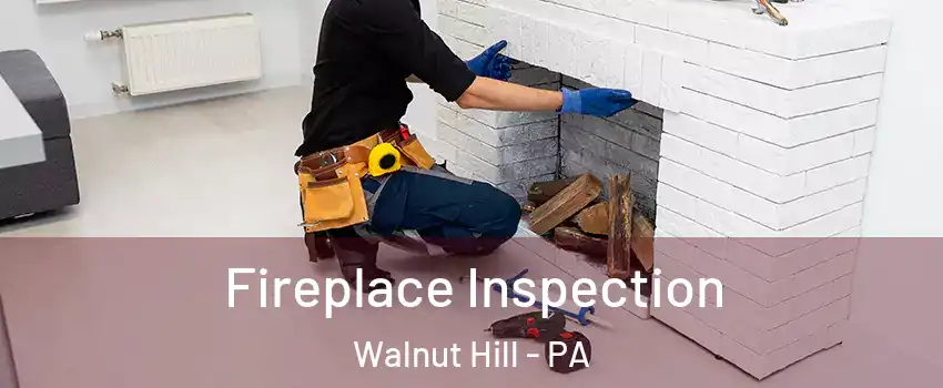 Fireplace Inspection Walnut Hill - PA