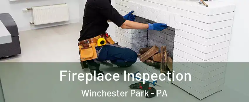 Fireplace Inspection Winchester Park - PA