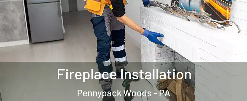 Fireplace Installation Pennypack Woods - PA