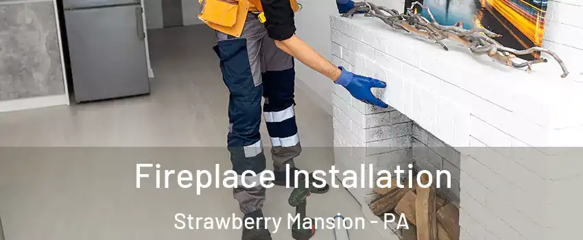 Fireplace Installation Strawberry Mansion - PA