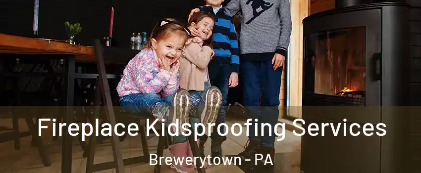Fireplace Kidsproofing Services Brewerytown - PA