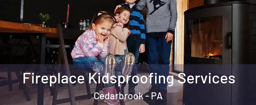 Fireplace Kidsproofing Services Cedarbrook - PA