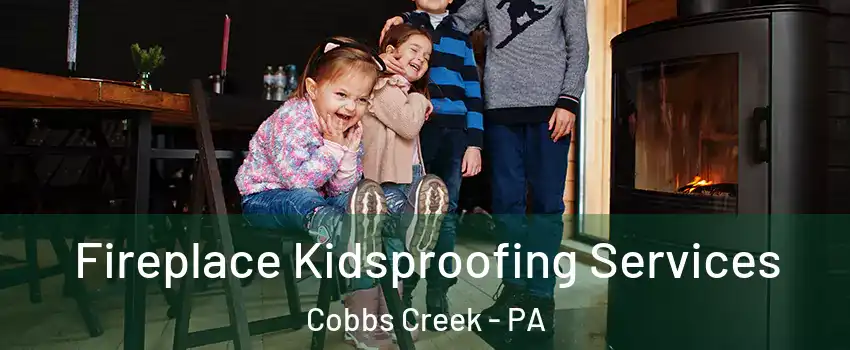 Fireplace Kidsproofing Services Cobbs Creek - PA
