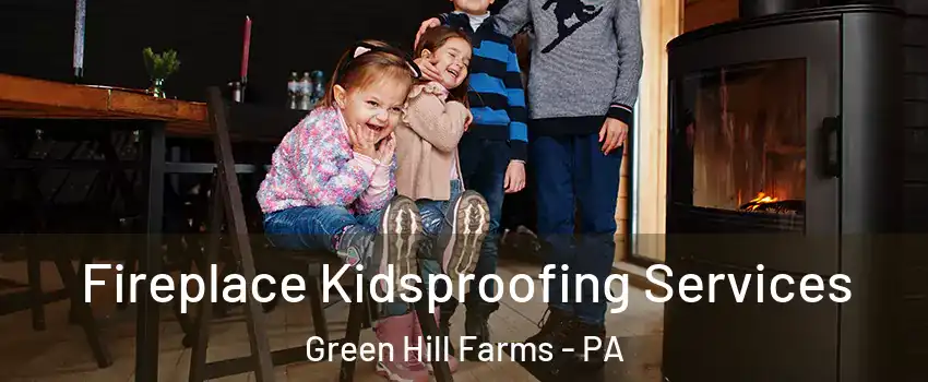 Fireplace Kidsproofing Services Green Hill Farms - PA