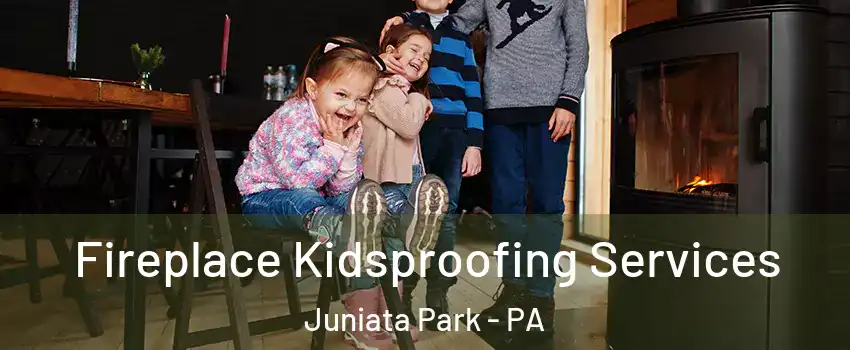 Fireplace Kidsproofing Services Juniata Park - PA