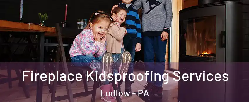 Fireplace Kidsproofing Services Ludlow - PA