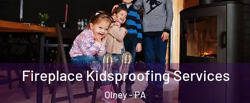Fireplace Kidsproofing Services Olney - PA