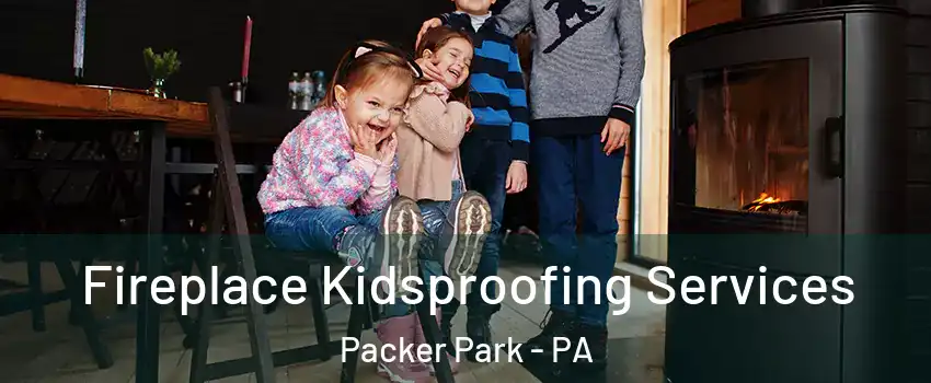 Fireplace Kidsproofing Services Packer Park - PA