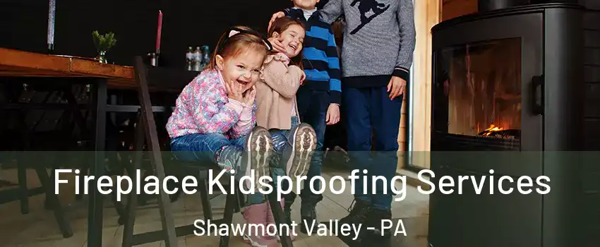 Fireplace Kidsproofing Services Shawmont Valley - PA