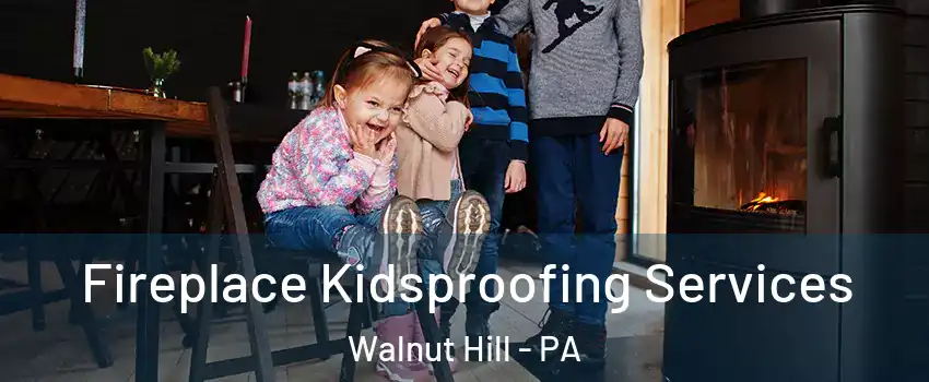 Fireplace Kidsproofing Services Walnut Hill - PA