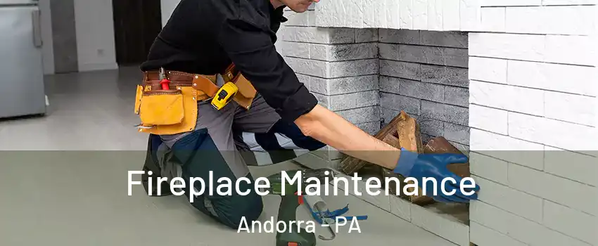 Fireplace Maintenance Andorra - PA
