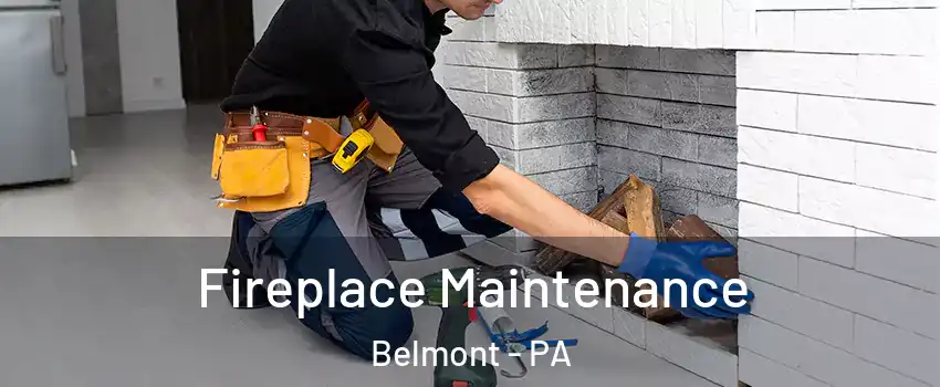 Fireplace Maintenance Belmont - PA