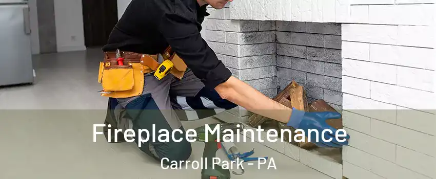 Fireplace Maintenance Carroll Park - PA