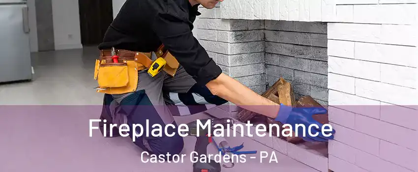 Fireplace Maintenance Castor Gardens - PA