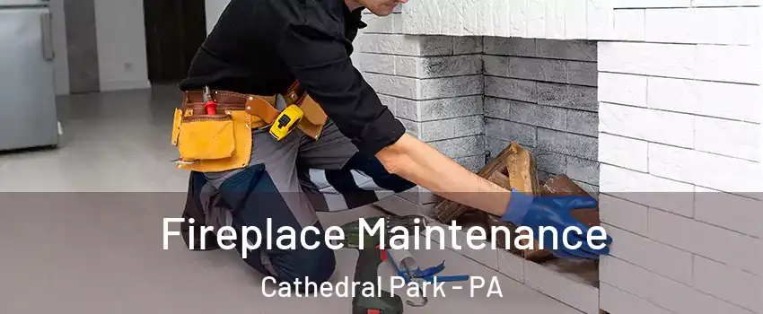 Fireplace Maintenance Cathedral Park - PA
