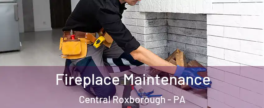 Fireplace Maintenance Central Roxborough - PA