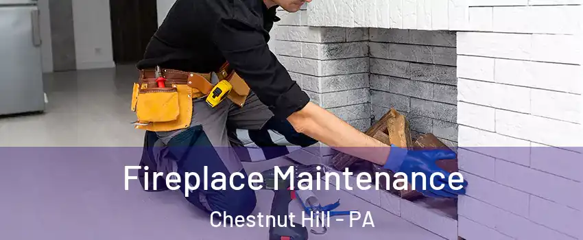 Fireplace Maintenance Chestnut Hill - PA