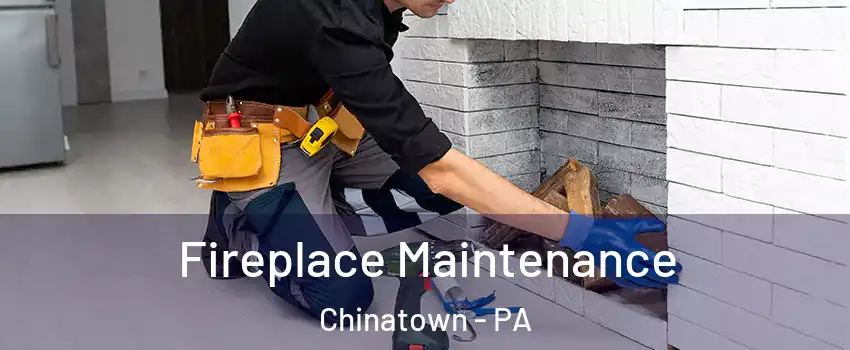 Fireplace Maintenance Chinatown - PA