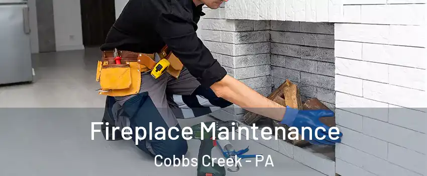 Fireplace Maintenance Cobbs Creek - PA