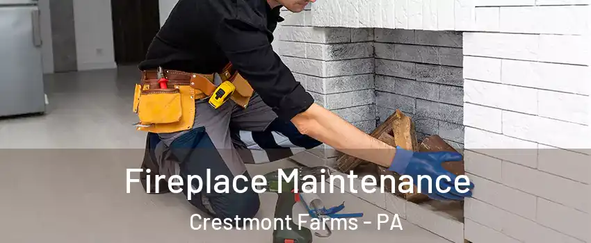 Fireplace Maintenance Crestmont Farms - PA