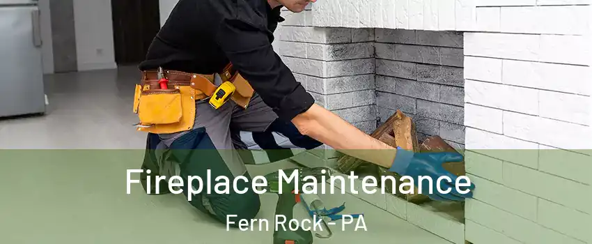 Fireplace Maintenance Fern Rock - PA