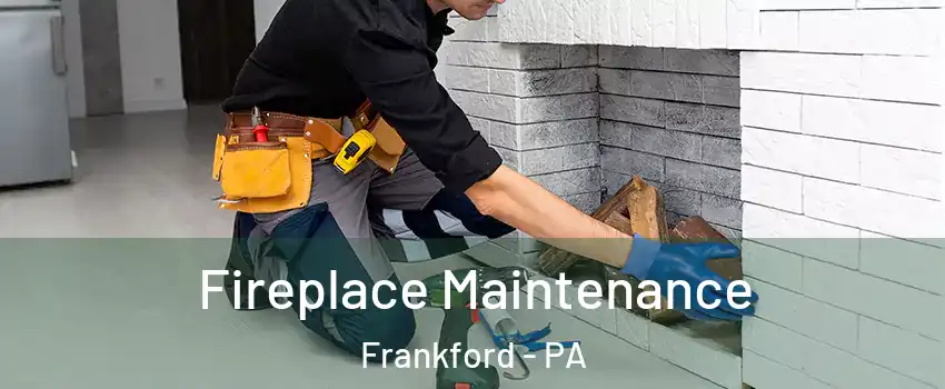 Fireplace Maintenance Frankford - PA