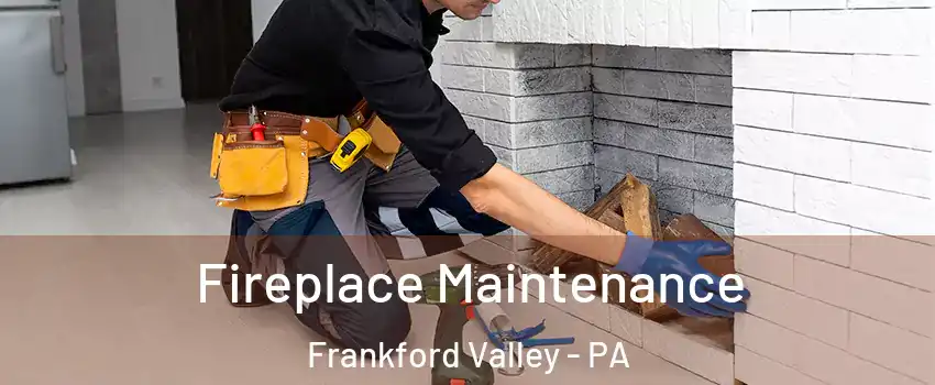 Fireplace Maintenance Frankford Valley - PA