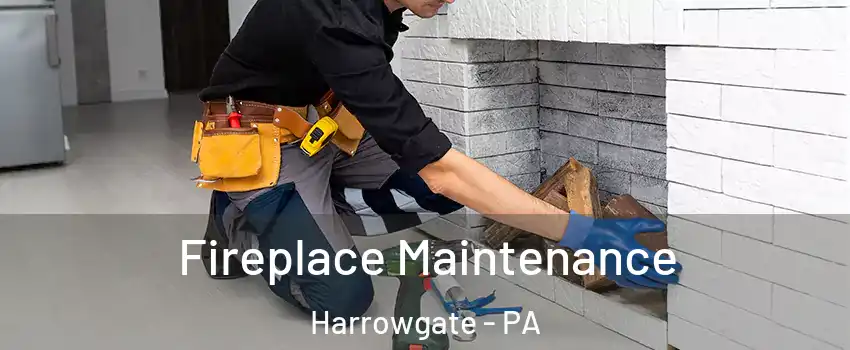 Fireplace Maintenance Harrowgate - PA