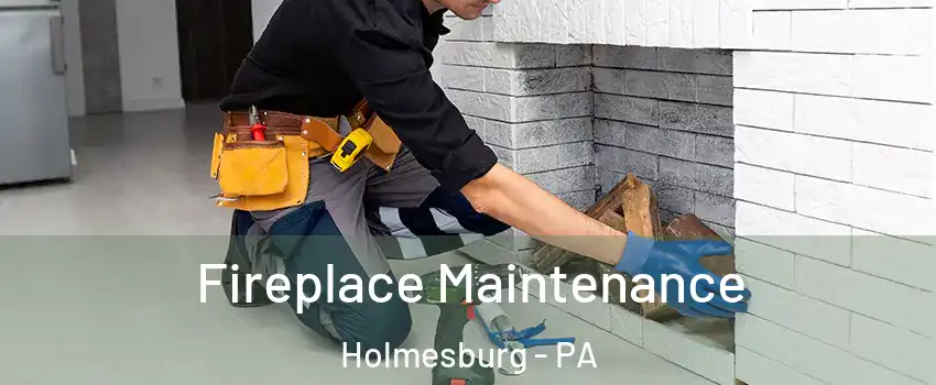 Fireplace Maintenance Holmesburg - PA