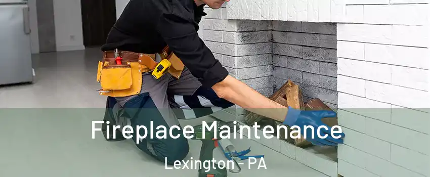 Fireplace Maintenance Lexington - PA