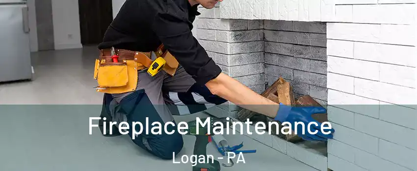 Fireplace Maintenance Logan - PA