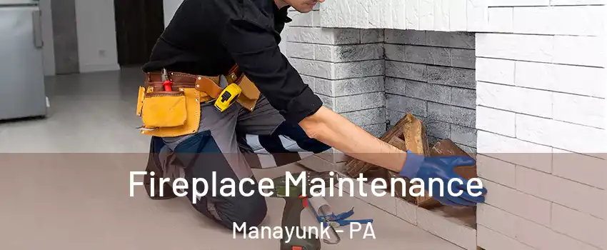 Fireplace Maintenance Manayunk - PA