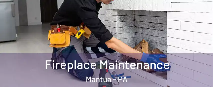 Fireplace Maintenance Mantua - PA