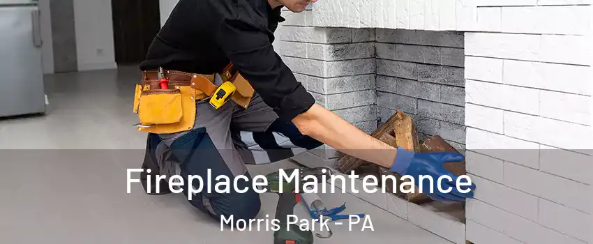 Fireplace Maintenance Morris Park - PA