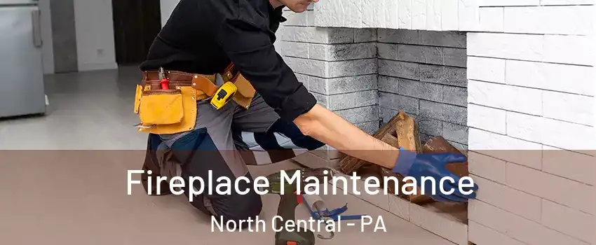 Fireplace Maintenance North Central - PA