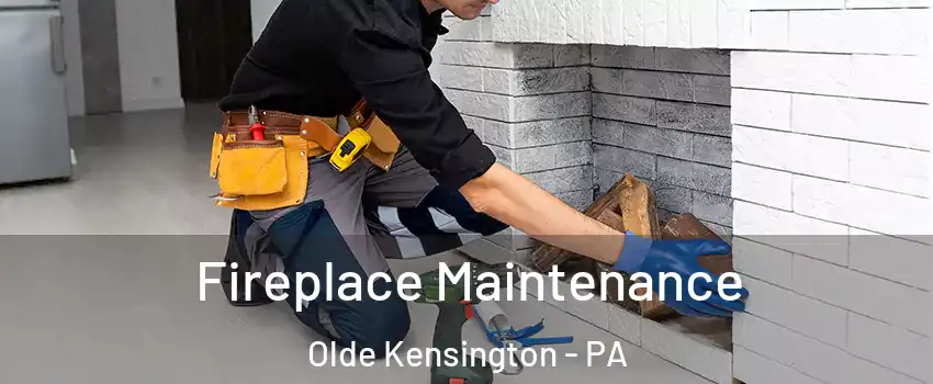 Fireplace Maintenance Olde Kensington - PA