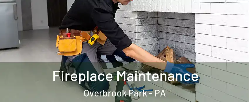 Fireplace Maintenance Overbrook Park - PA