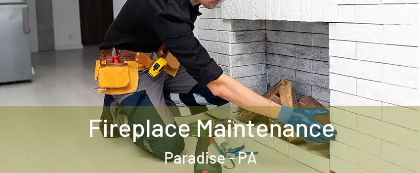 Fireplace Maintenance Paradise - PA