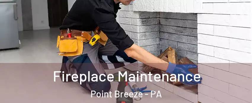 Fireplace Maintenance Point Breeze - PA