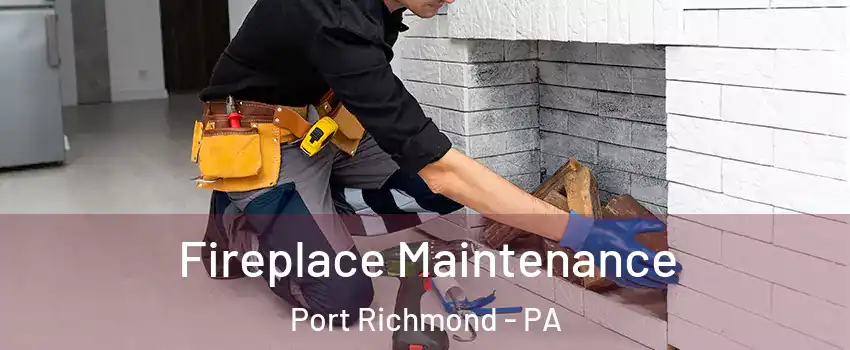 Fireplace Maintenance Port Richmond - PA
