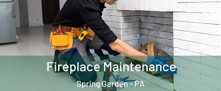 Fireplace Maintenance Spring Garden - PA