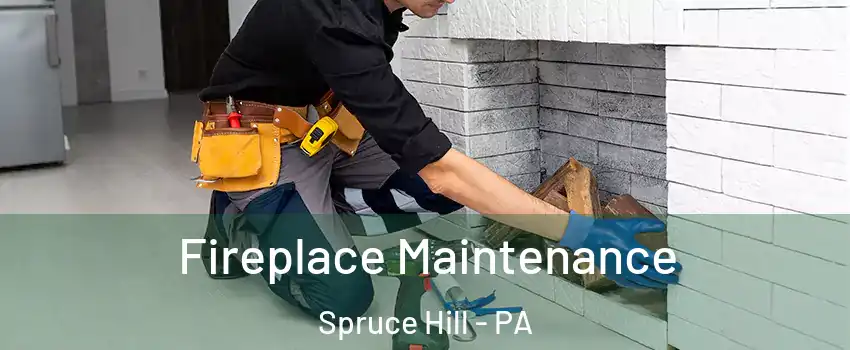 Fireplace Maintenance Spruce Hill - PA