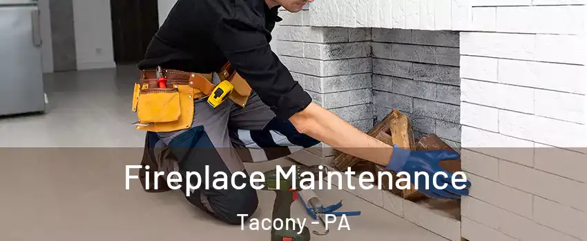 Fireplace Maintenance Tacony - PA