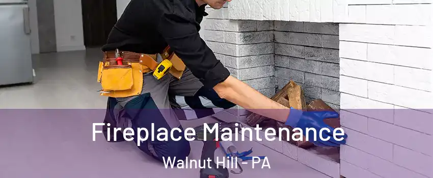 Fireplace Maintenance Walnut Hill - PA