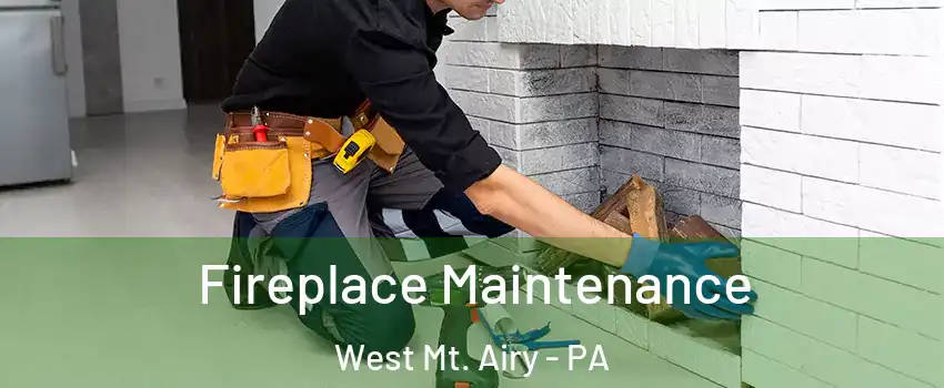Fireplace Maintenance West Mt. Airy - PA