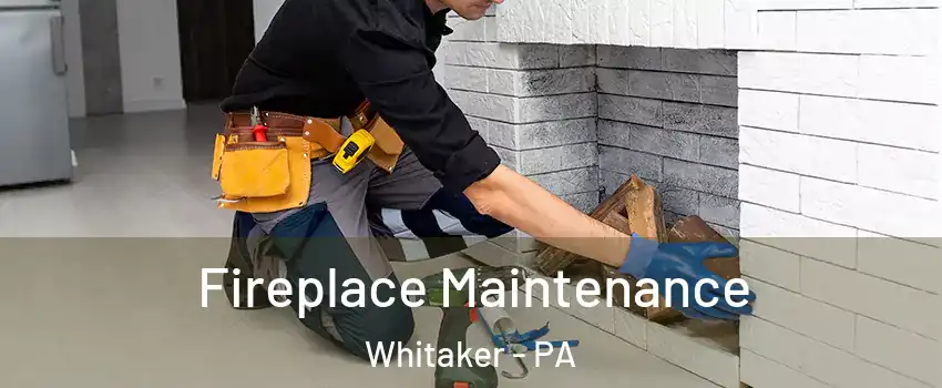 Fireplace Maintenance Whitaker - PA